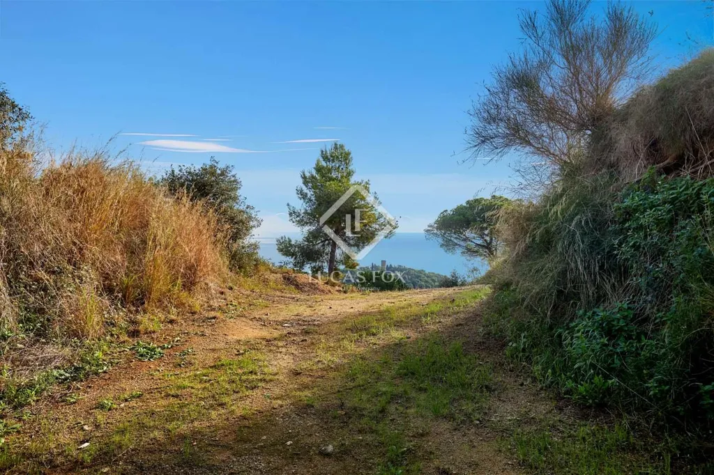 Giardino - Luxury Villa with Sea View in Caldes d'Estrac