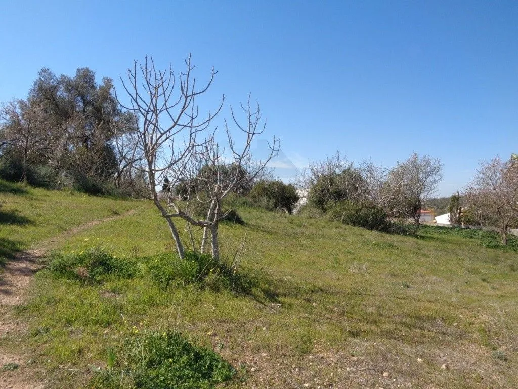 Jardin - Rustic House with Land in Vale Judeu, Loulé