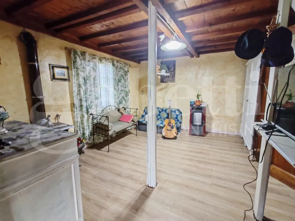 Elutuba - Rustic House with Garden in Collesalvetti