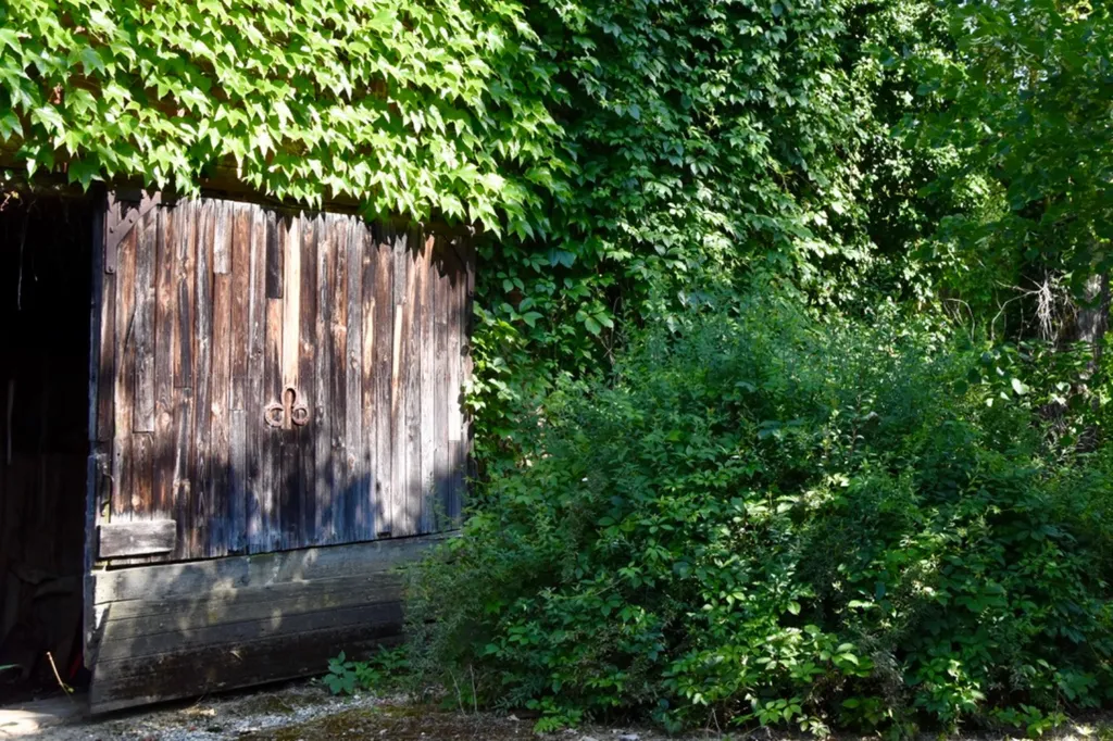 Jardin - Maison de 8 Chambres avec Jardin et Vue à Rénover