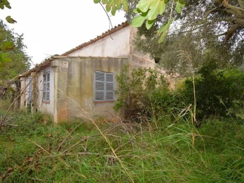Extérieur - Maison à Balears (Illes)