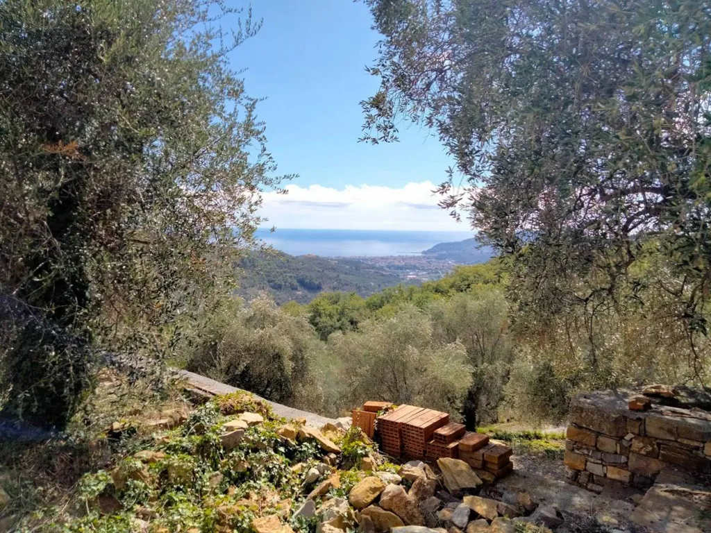 Aed - Rustic Villa with Olive Grove in Diano San Pietro