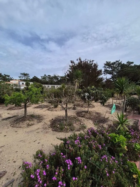 Garden - Luxury House with Pool in Sintra