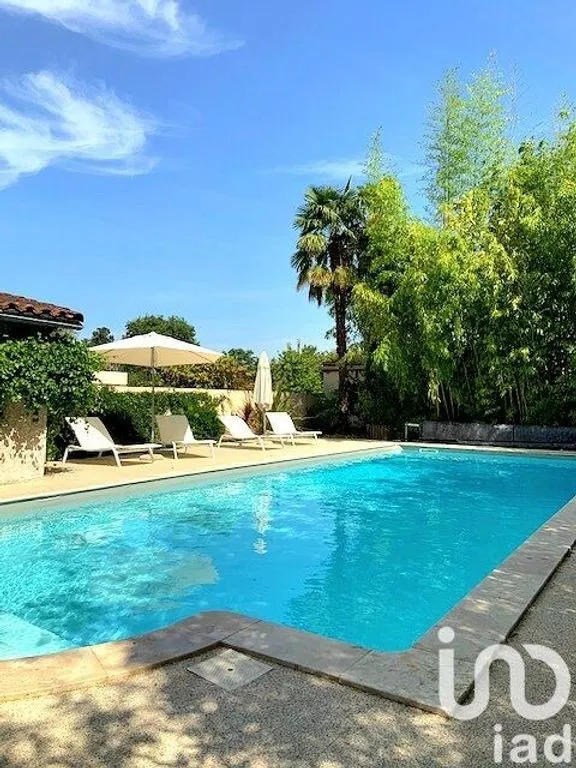 Bassein - Charming 10-Bedroom House with Pool in Albi