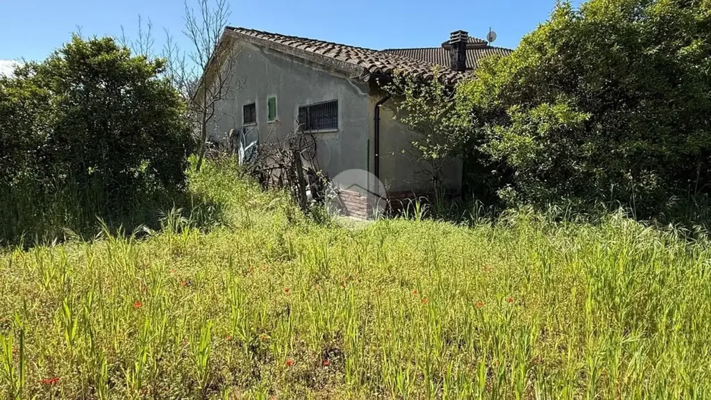 Extérieur - Rustic House with Large Garden in Corigliano-Rossano