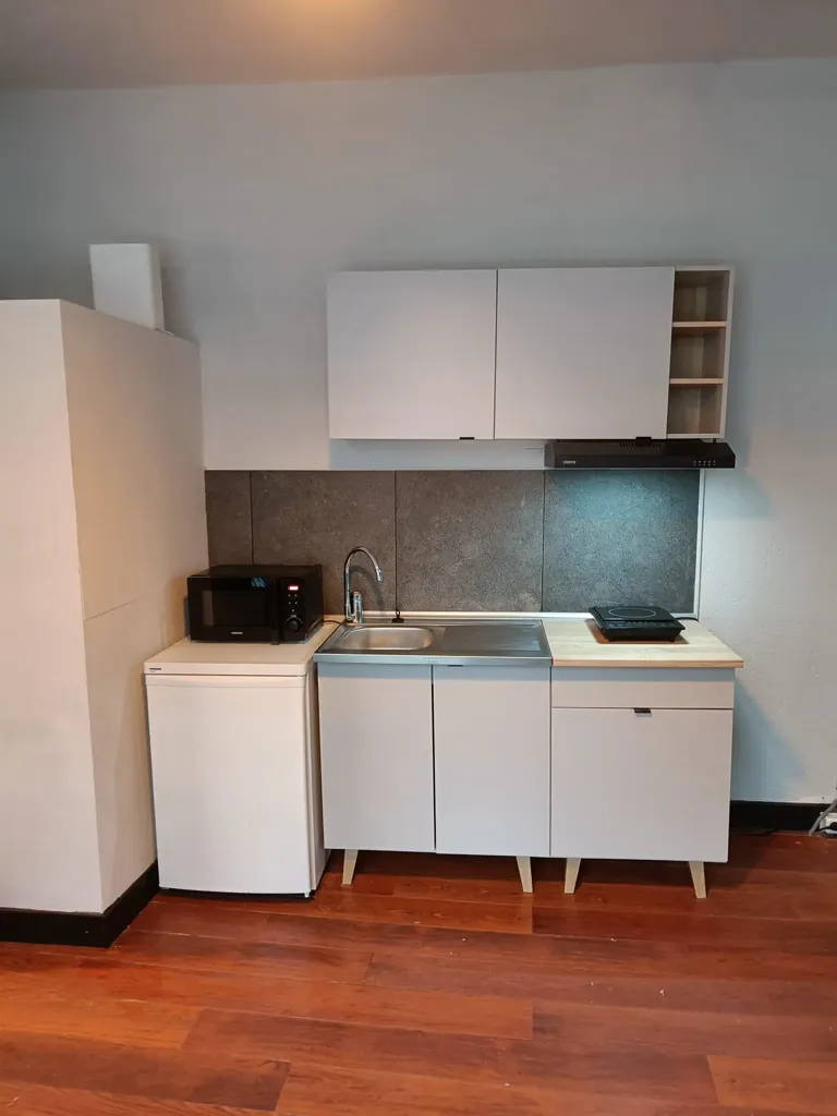 Cuisine - Renovated Studio with Garden in Hillegersberg