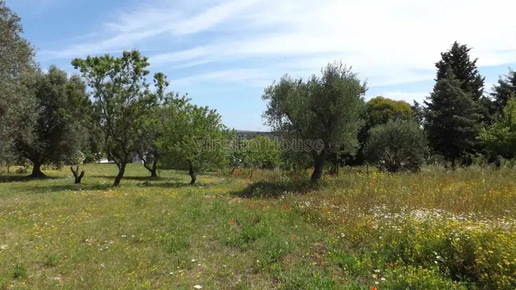 Garden - Typical Trulli House in Ostuni