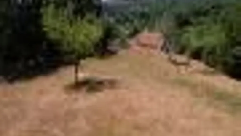 land_plot