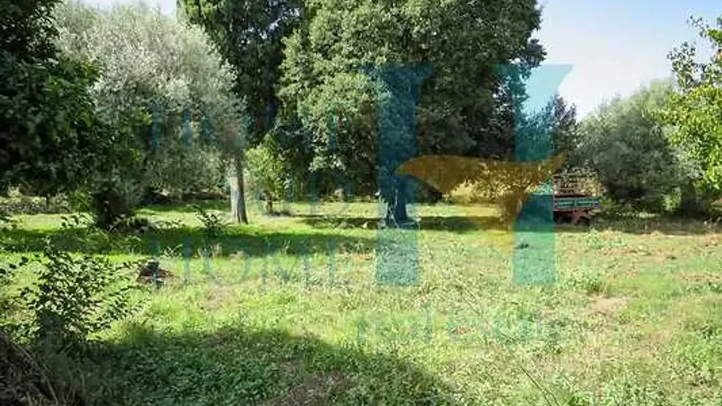 Jardin - Sicilian Casale with Orchard near Noto