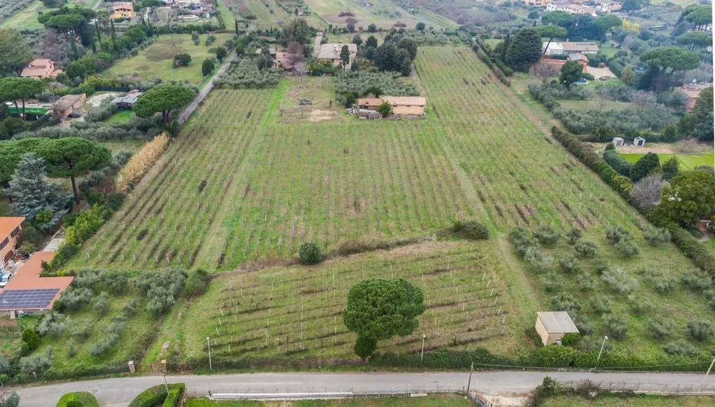 Õhuvaade - Colonial Villa with Pool in Marino, Rome