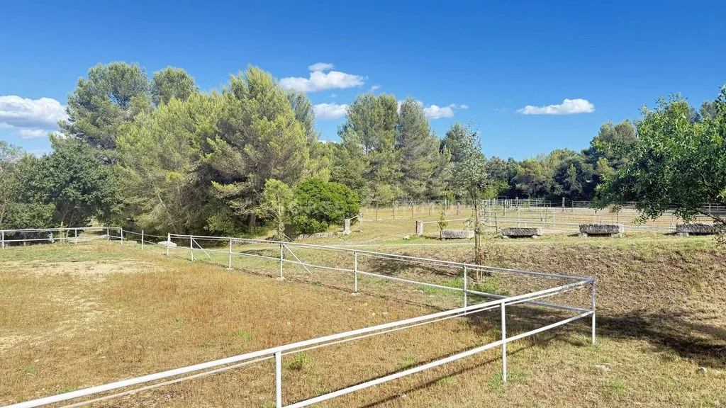Jardin - Maison de Luxe avec Installations Équestres à Montpellier