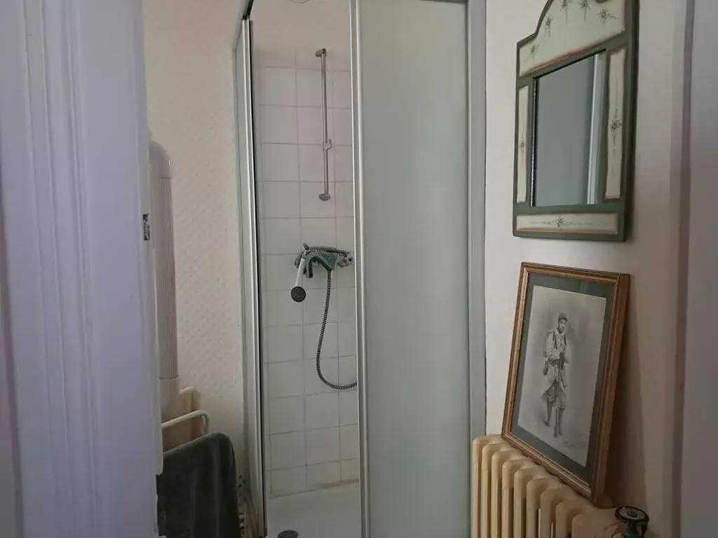 Salles de bain - Appartement Haussmannien avec Jardin au Centre de Chalon-sur-Saône
