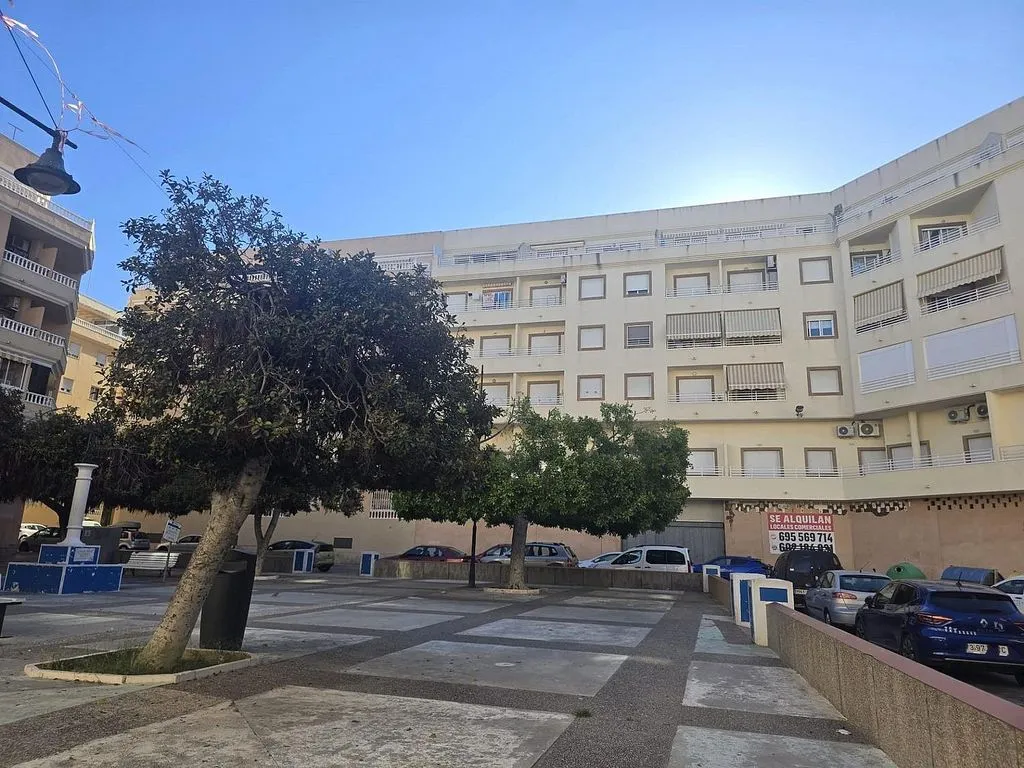 Jardin - Modern Flat with Balcony in Torrevieja Centre