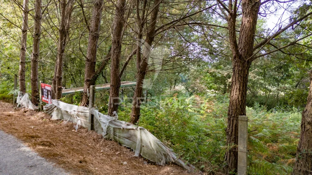 Jardin - Agricultural Land with Construction Viability in Lage