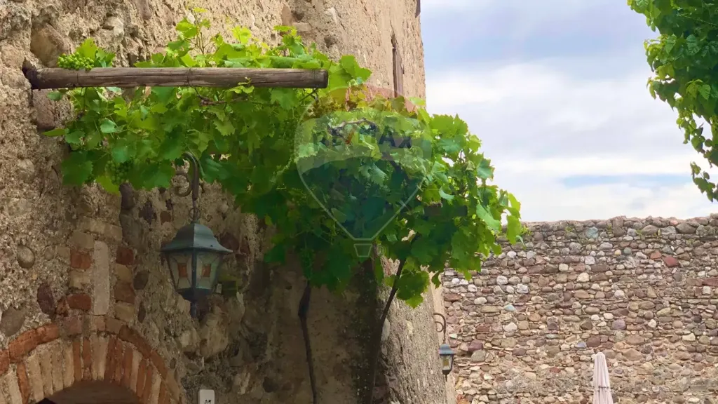 Jardin - Medieval Rustico with Income Potential in Monzambano