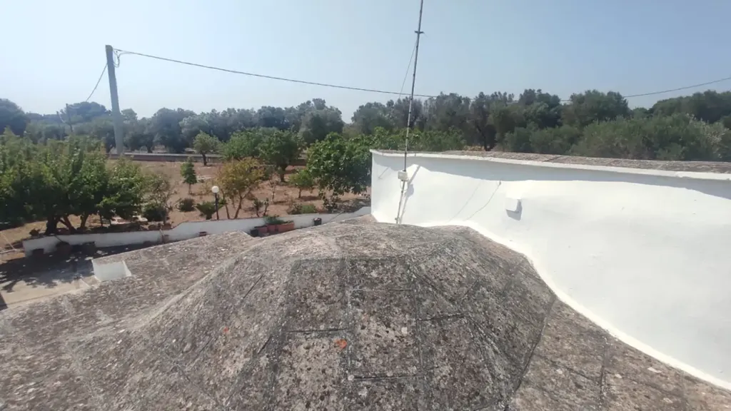 Extérieur - Trullo with Olive Grove in Carovigno
