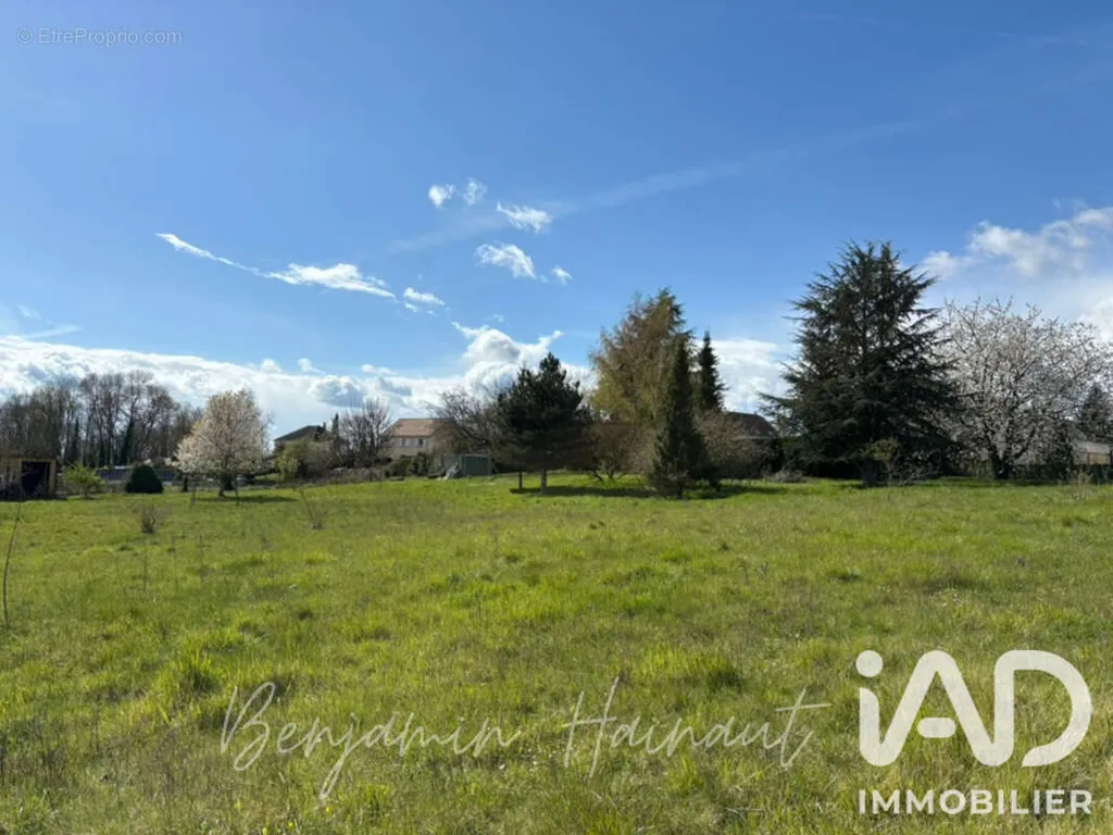 Jardin - Terrain Constructible à Saint-Brice