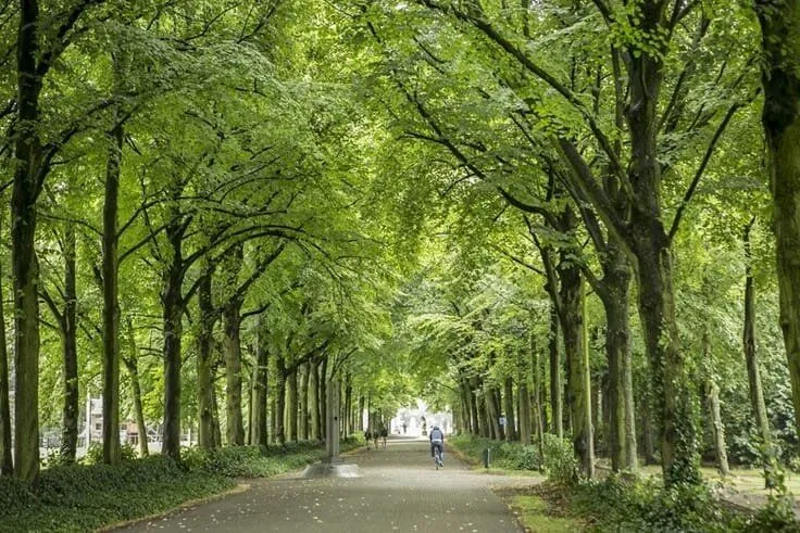 Appartement à Borgerhout, Antwerp