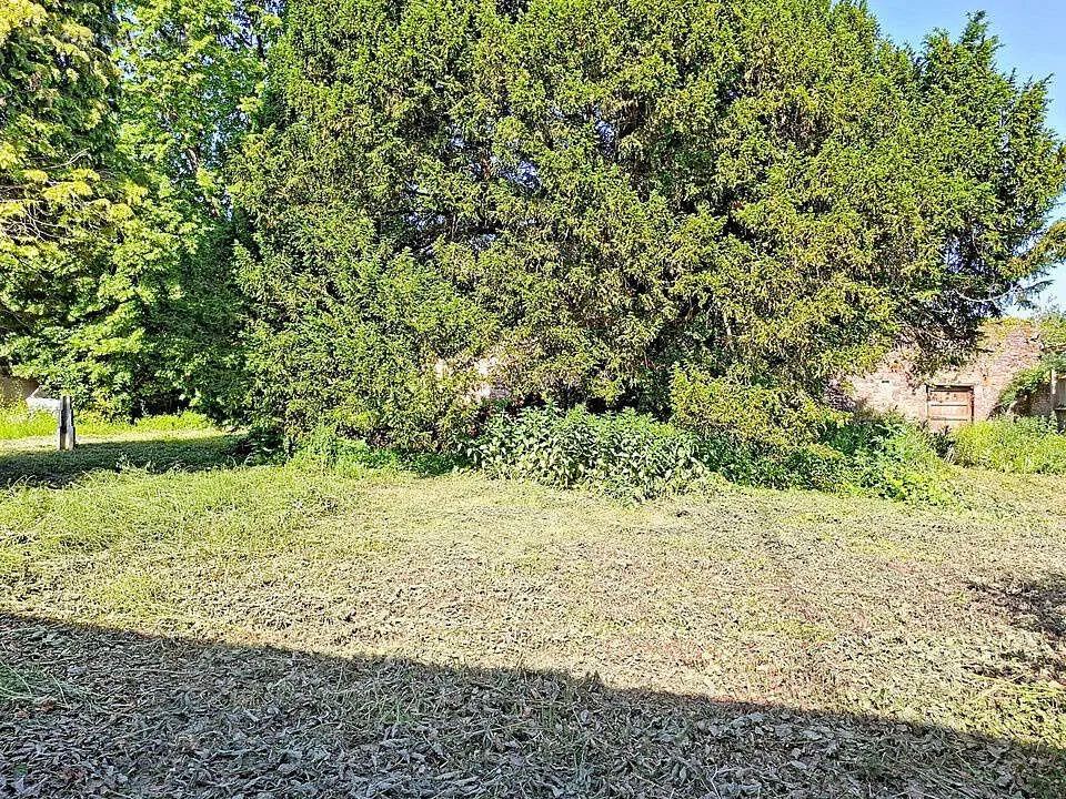 Jardin - Propriété de Caractère avec Jardin à Crespin