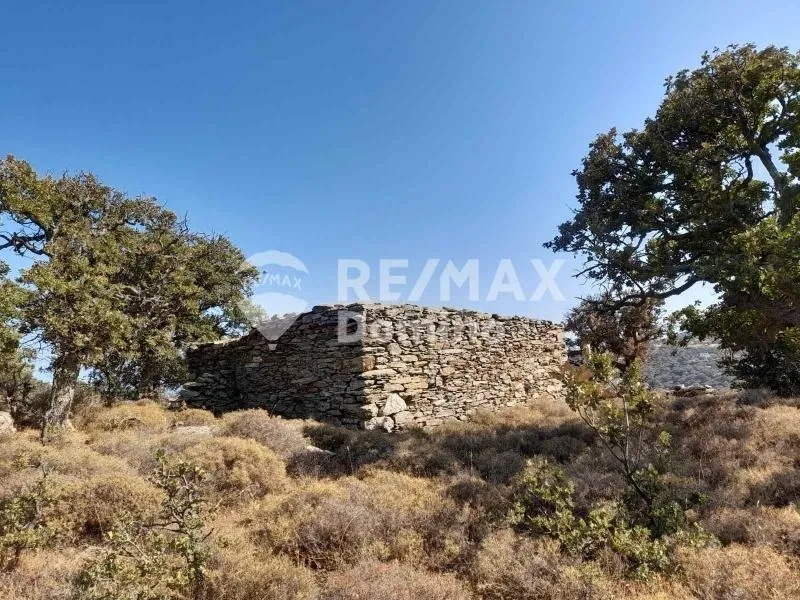 Jardin - Farmhouse with Sea View in Perama
