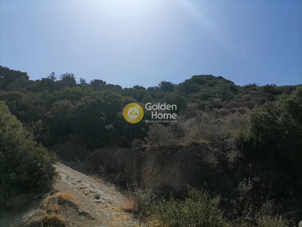 Aed - Agricultural Land with Unrestricted View in Phaistos