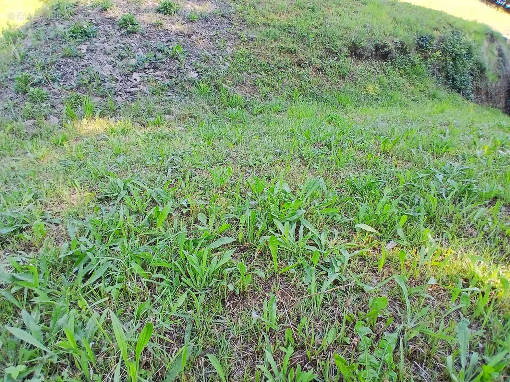 Jardin - Terrain à Bâtir à Laissaud avec Vue Sud-Ouest