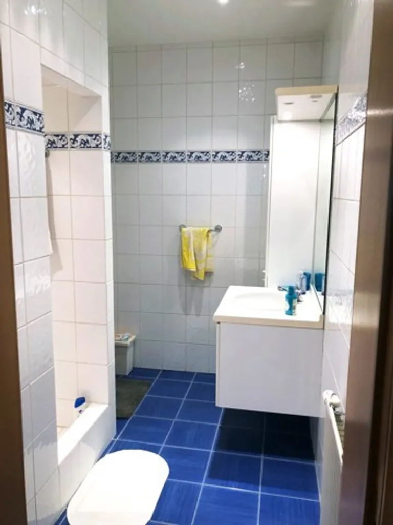 Bathrooms - Charming Flat with 2 Bedrooms in Grand Place