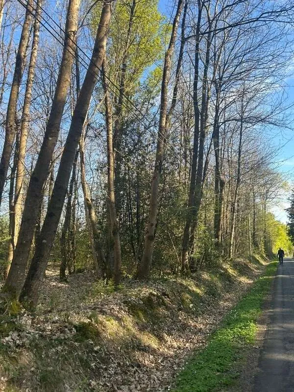 Jardin - Bois Taillis à Vendre à Le Vieil-Baugé