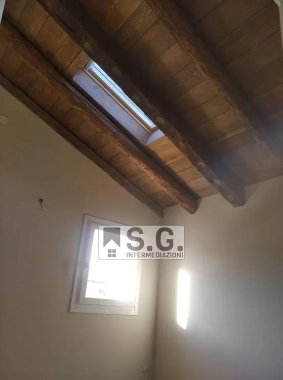 Toad - Luxury Villa with Private Garden in Mirano