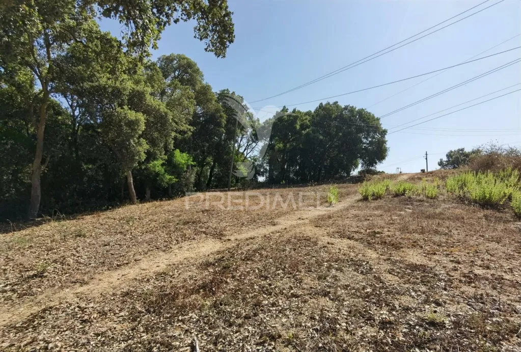 Aed - Approved Luxury Home Project in Santarém