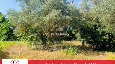 Toutes les photos (5) - Terrain Constructible Arboré à Uzès