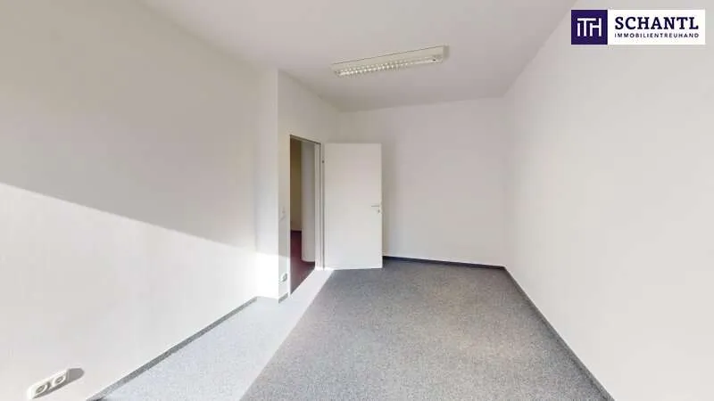 Toad - Commercial Space with A9 Access in Graz-Straßgang