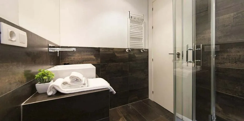 Salles de bain - Furnished Flat with Terrace in Tirso de Molina Square