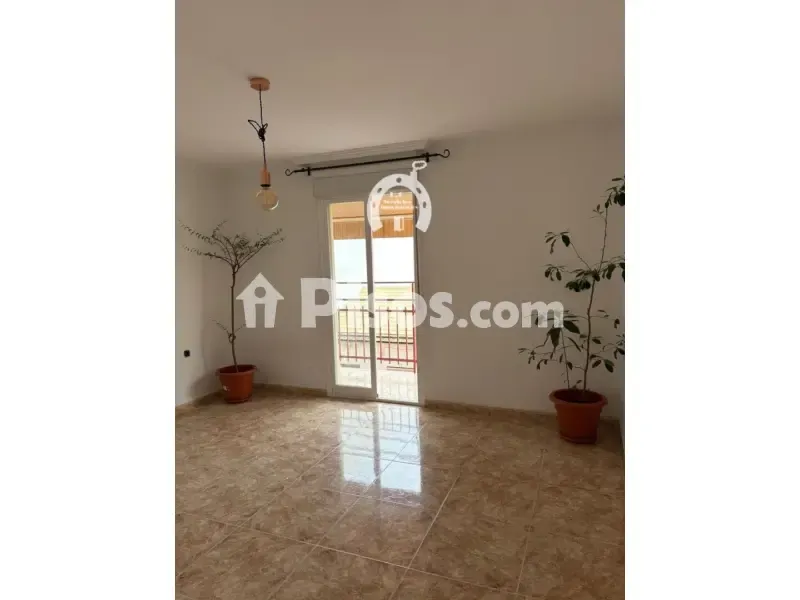Toad - Spacious Apartment with Garden Access in Elche