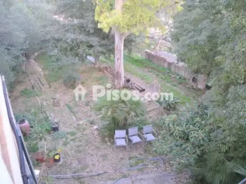 Jardin - Rustic House with 360° Views in Sa Pobla