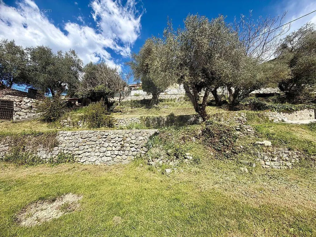 Aed - Buildable Plot with South Exposure in Tourrette-Levens