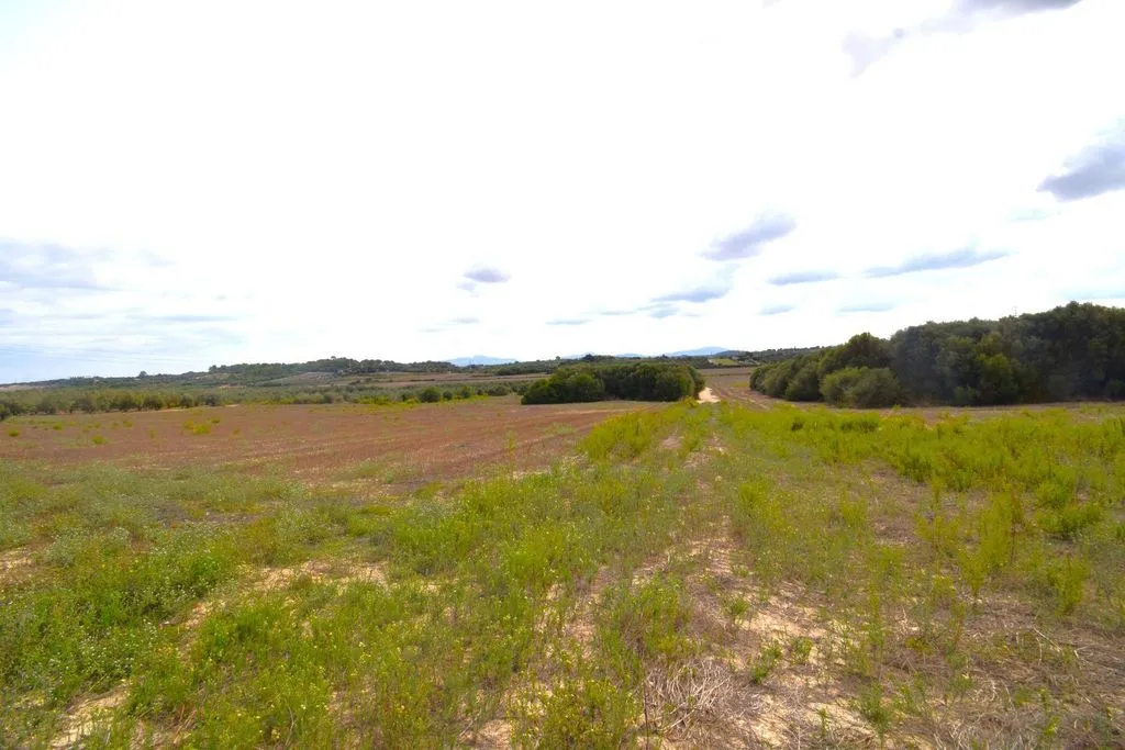 Aed - Rustic Plot with House Project in Muro