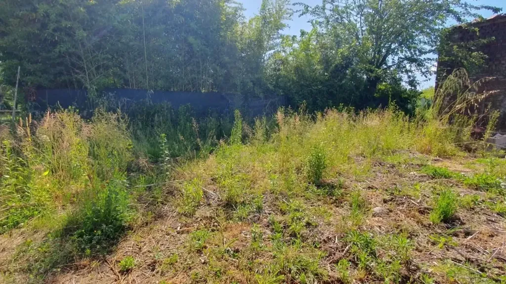Garden - Rustic Property to Renovate in Capannori