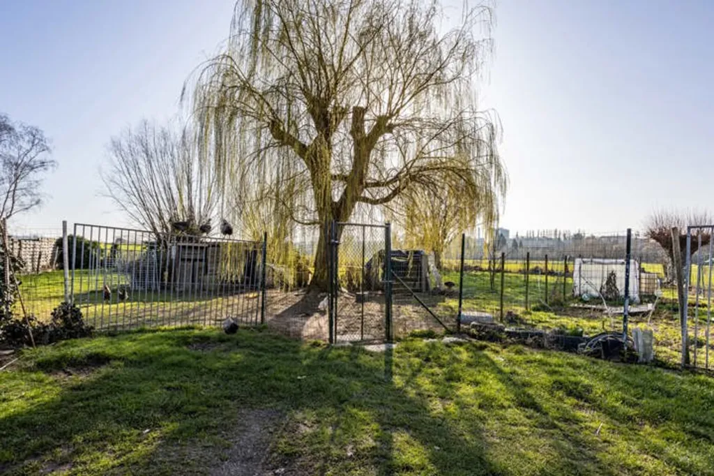 Jardin - Maison avec jardin et terrasse à Ronse
