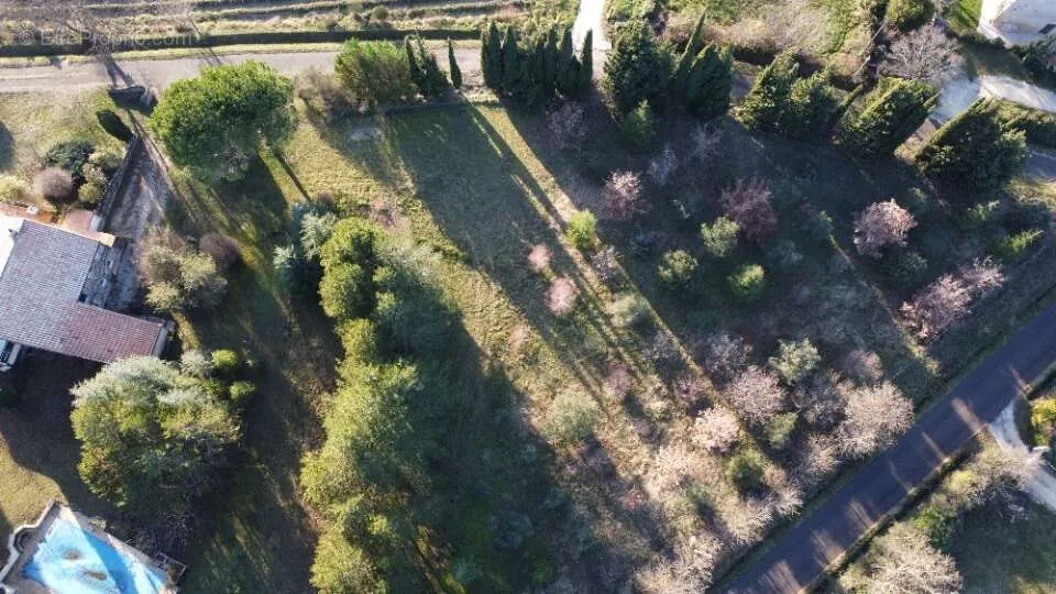 Õhuvaade - Viabilised Plot with Woodland in Allan