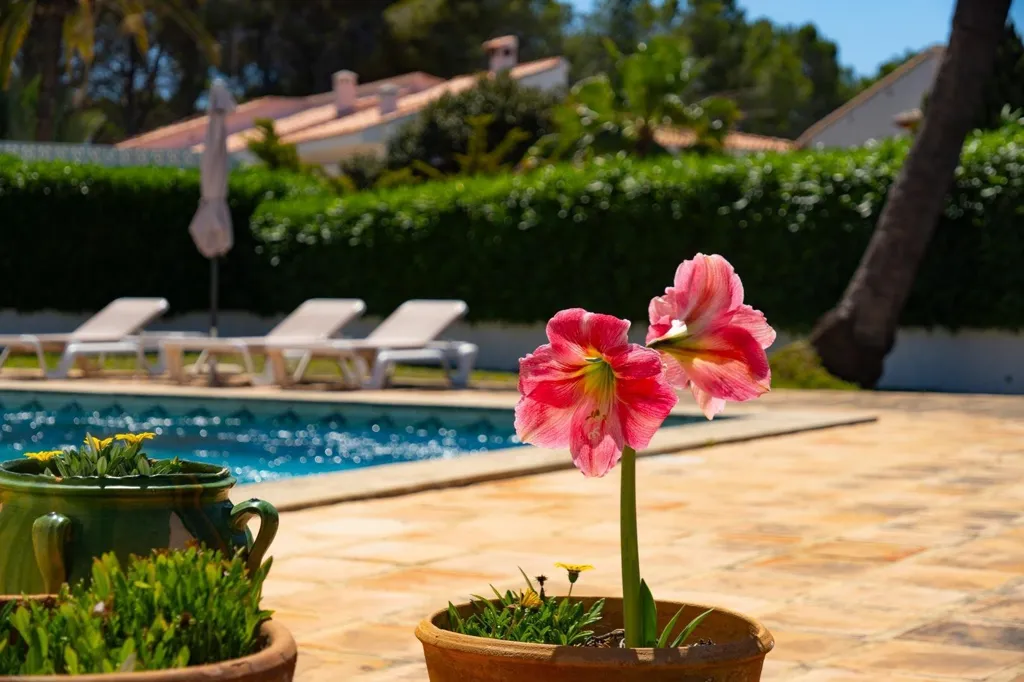 Piscine - Mediterranean Villa with Pool in Pla del Mar