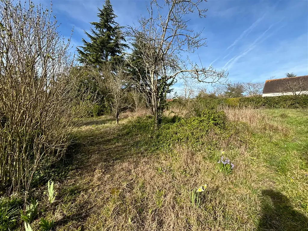 Maison 3 pièces à Descartes