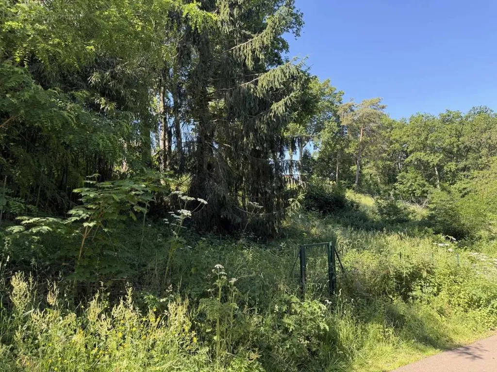 Garden - Buildable Plot with 677 m² in Auxerre