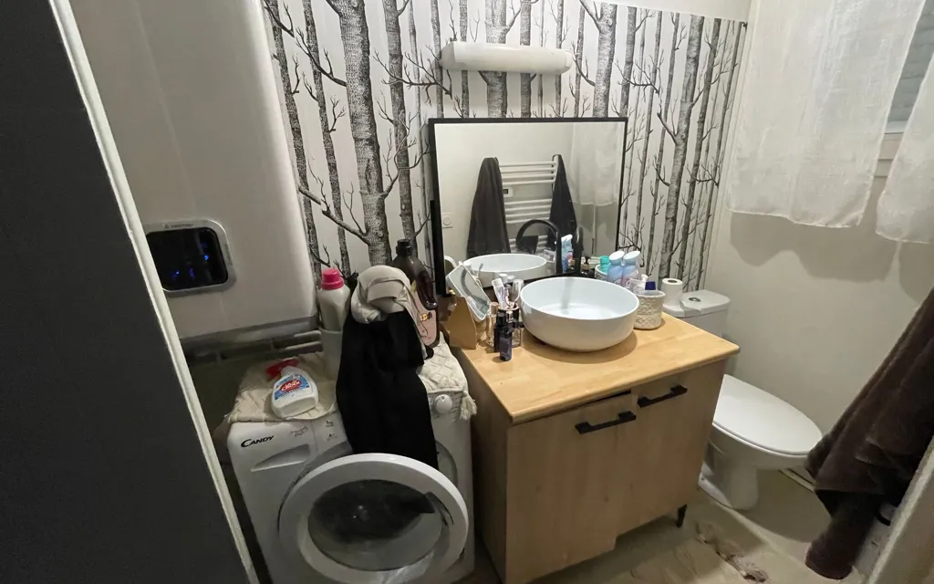 Vannitoad - Meubled 2-Bedroom Flat near Limoges Station