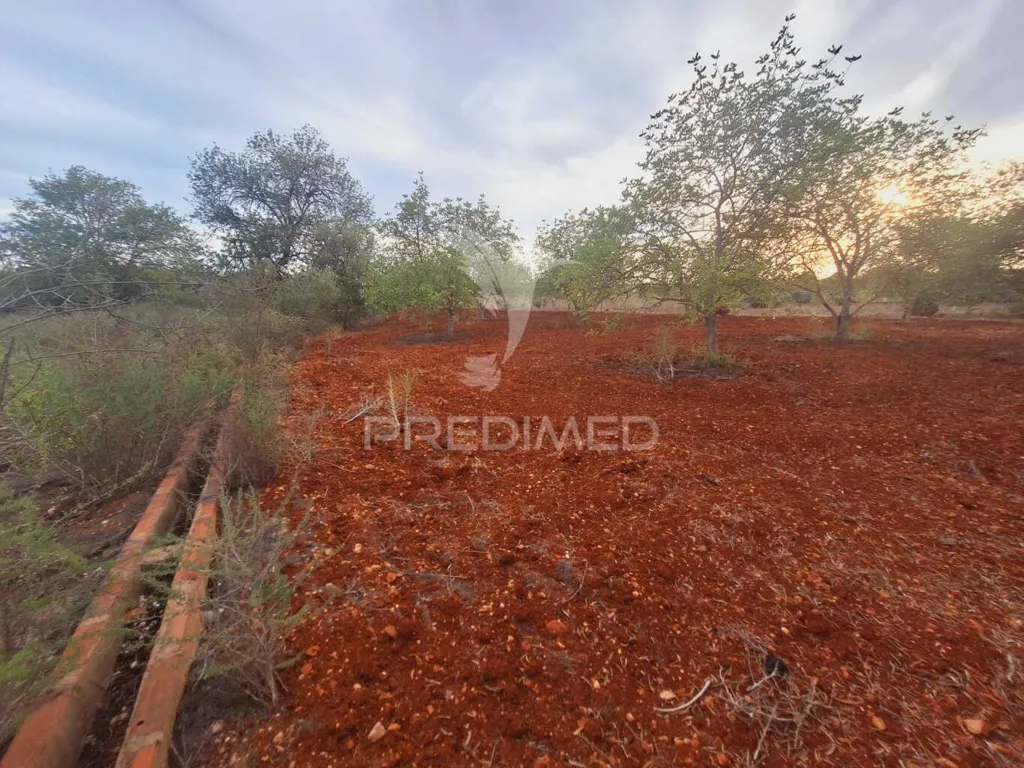Aed - Rustic Plot near National Road in Vale Judeu