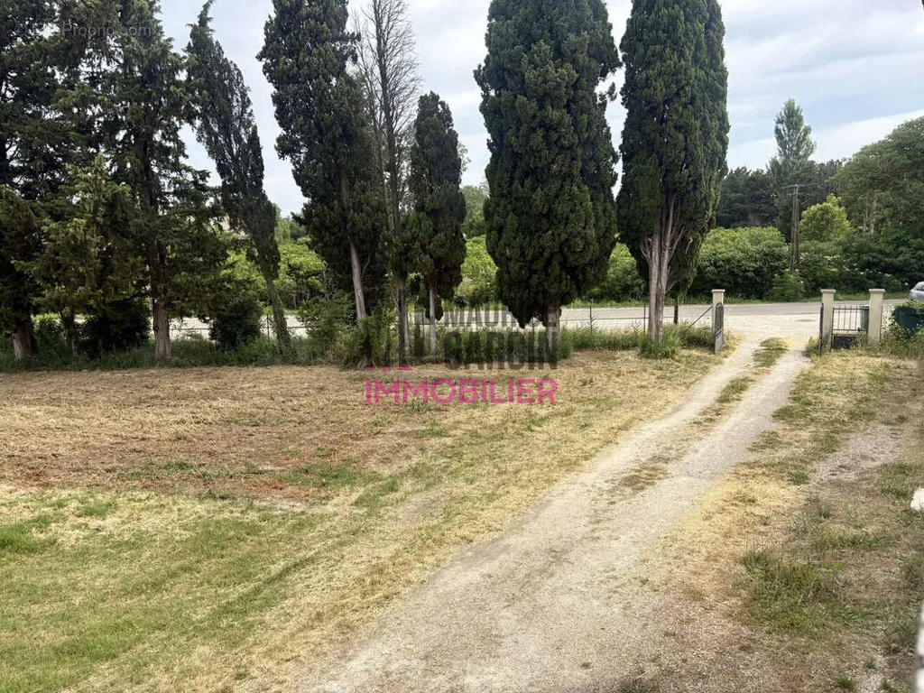 Aed - Constructible Plot with 2,000 m² in Barbentane