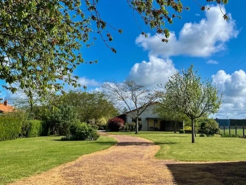 garden
