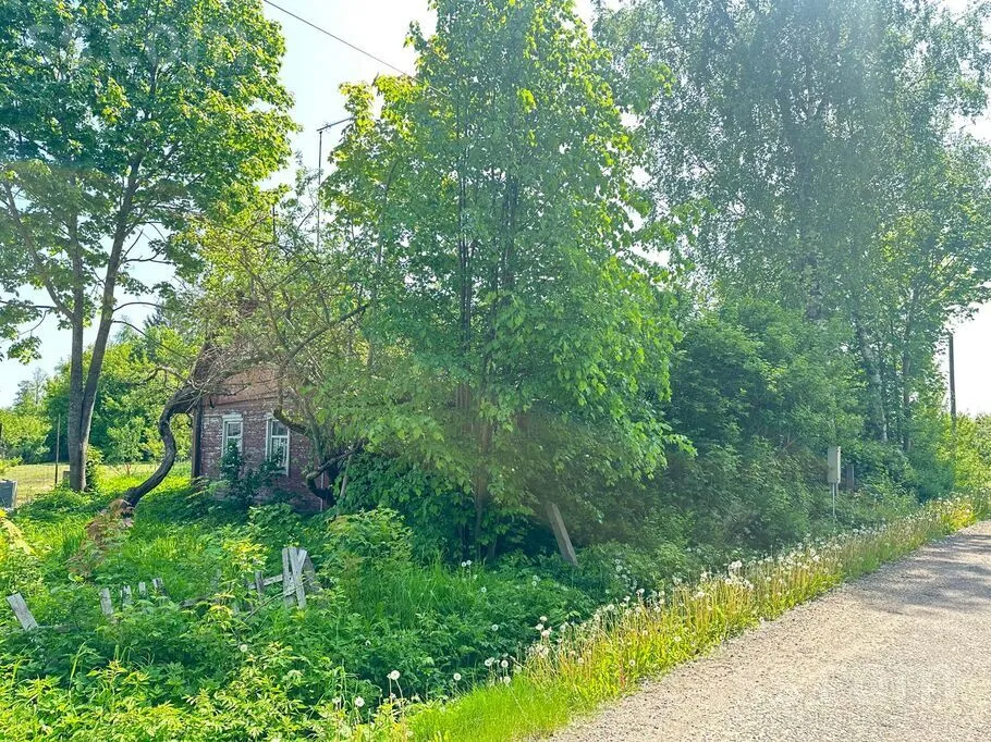 Jardin - House with Lake View in Dagda