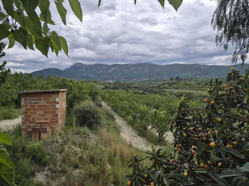 Jardin - Rural House with Extensive Land in Bèlgida