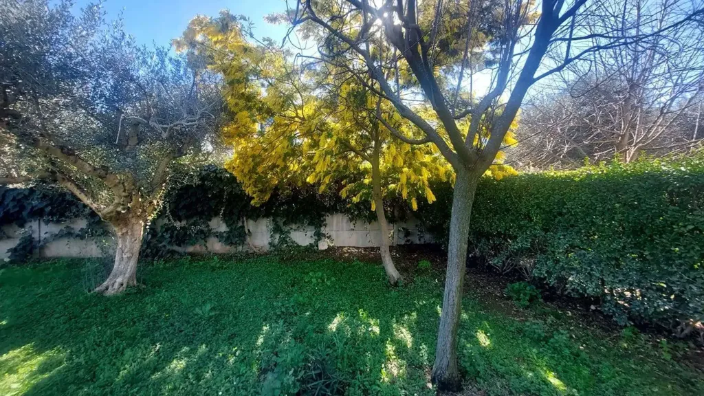 Jardin - Villa with Pool in Zagarolo